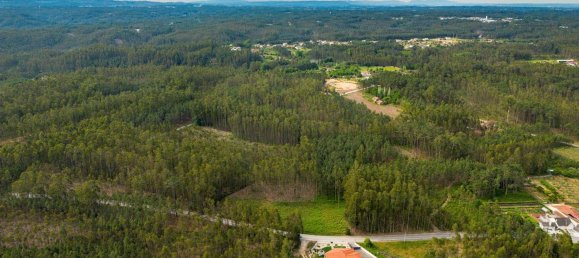 Grundstück in Pombal, Portugal 2270m², Nr. 64117 3