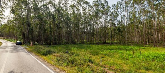 Grundstück in Pombal, Portugal 2270m², Nr. 64117 13