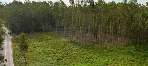 Grundstück in Pombal, Portugal 2270m², Nr. 64117 5