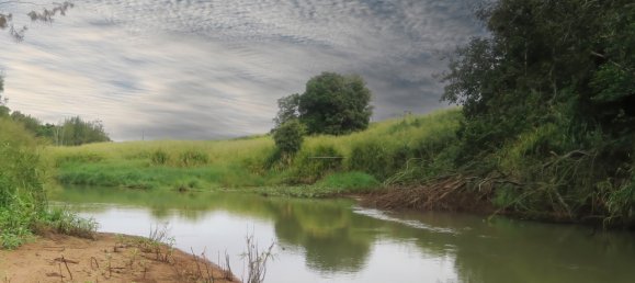 6 غرف نوم مزرعة في Yungaburra, Australia رقم 1059 28