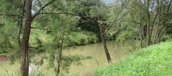 6 غرف نوم مزرعة في Yungaburra, Australia رقم 1059 30