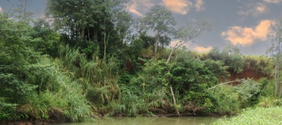 6 غرف نوم مزرعة في Yungaburra, Australia رقم 1059 26