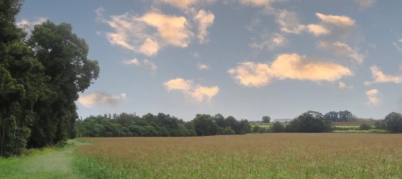 6 غرف نوم مزرعة في Yungaburra, Australia رقم 1059 27