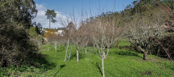 Grundstück in Sintra, Portugal 6600m², Nr. 67588 39