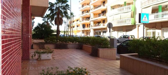 3 rooms Apartment in Molfetta, Italy No. 42353 9