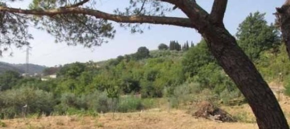 3 Schlafzimmer Haus in Impruneta, Italy, Nr. 271468 5