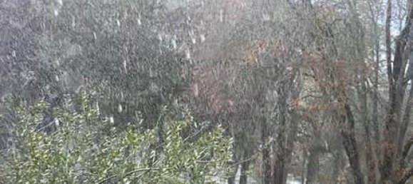 2 Schlafzimmer Haus in Villeneuve-Saint-Georges, France, Nr. 328669 5