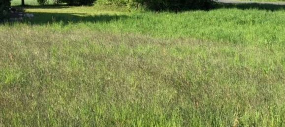 Terreno em Coburg, Germany N.º 176863 7