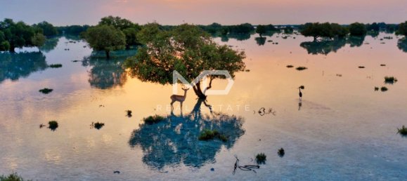 Grundstück in Abu Dhabi, UAE 1199.9m², Nr. 47590 9