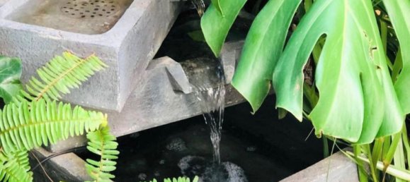 2 bedrooms Apartment in Mijas, Spain No. 50535 14