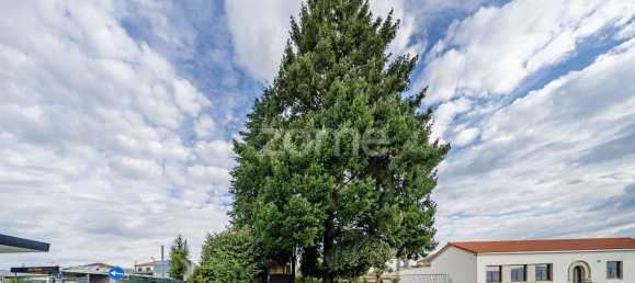 5 chambres Maison à Amarante, Portugal No. 123273 5