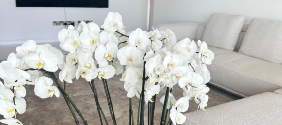 Apartamento T3 em Larnaca, Cyprus N.º 26315 12