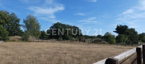 5-Zimmer Haus in Lüchow-Dannenberg, Germany, Nr. 174342 6