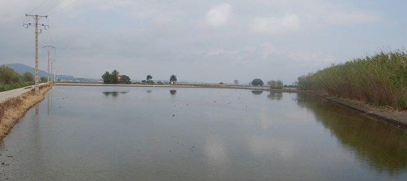  قطعة أرض في Amposta, Spain 158متر مربع رقم 24977 8