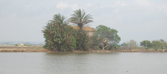  قطعة أرض في Amposta, Spain 158متر مربع رقم 24977 3