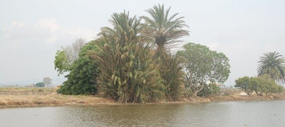  قطعة أرض في Amposta, Spain 158متر مربع رقم 24977 2