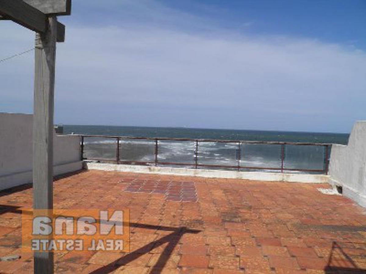 4 غرف نوم شقة في Maldonado, Uruguay رقم 5029