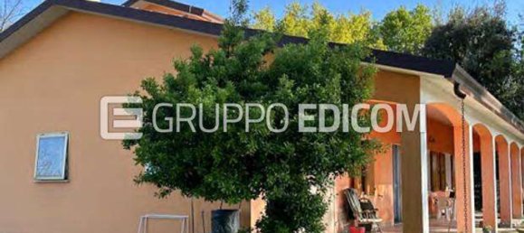 5 rooms Apartment in Mesola, Italy No. 276699 3