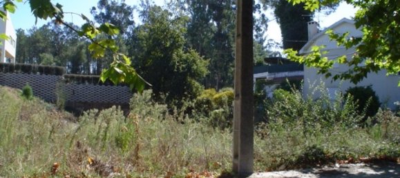 Land in Viana do Castelo, Portugal No. 89050 10