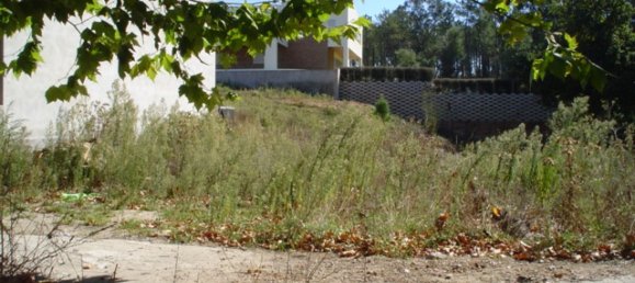 Land in Viana do Castelo, Portugal No. 89050 7