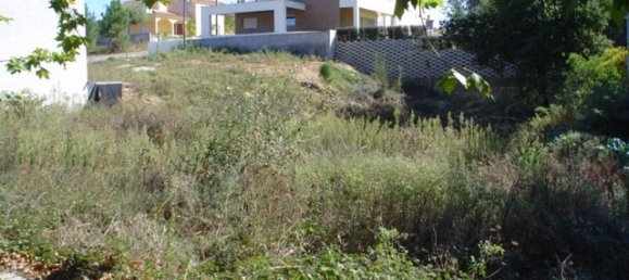 Land in Viana do Castelo, Portugal No. 89050 16