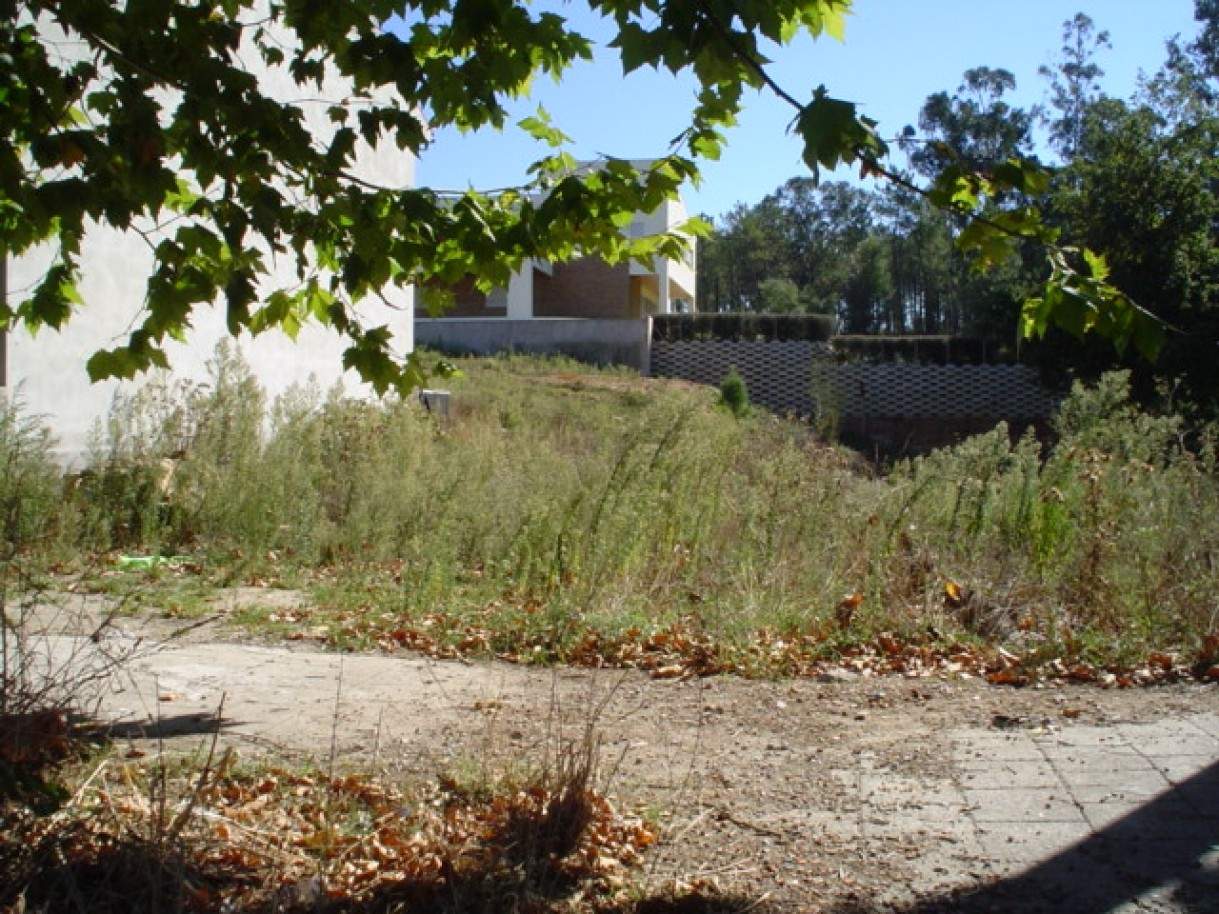  Land in Viana do Castelo, Portugal No. 89050