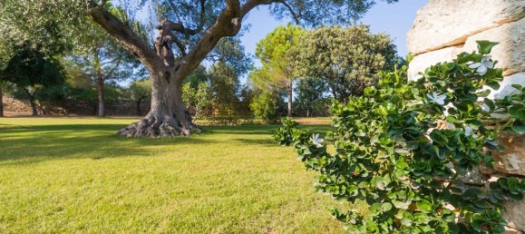 8غرفة فيلا في Villa Castelli, Italy رقم 140624 2