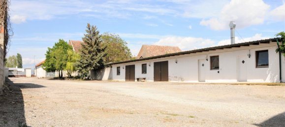 Отель, гостиница 307м² в Айзенштадт Умгебунг, Австрия № 37097 15