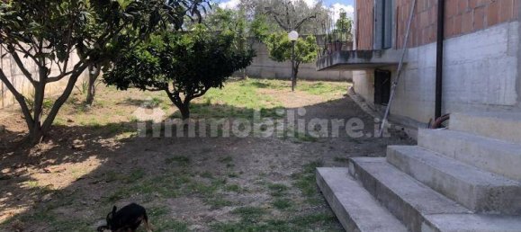 3 bedrooms House in Cupello, Italy No. 237240 11