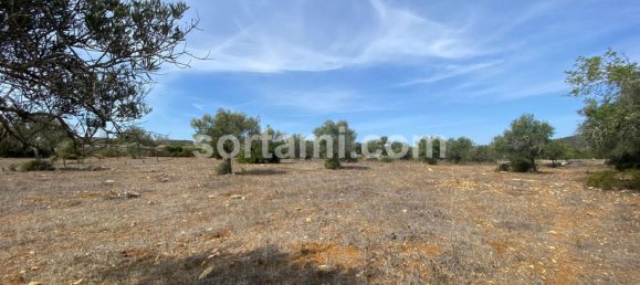 قطعة أرض في Sao Bras de Alportel, Portugal 9307متر مربع رقم 48734 2