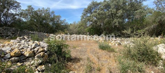 قطعة أرض في Sao Bras de Alportel, Portugal 9307متر مربع رقم 48734 4