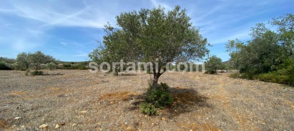 قطعة أرض في Sao Bras de Alportel, Portugal 9307متر مربع رقم 48734 10