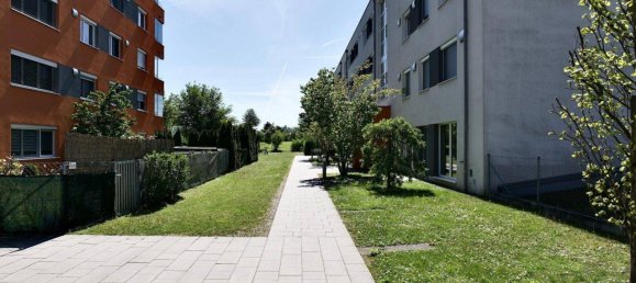 4-Zimmer Wohnung in Wels, Austria, Nr. 196946 7