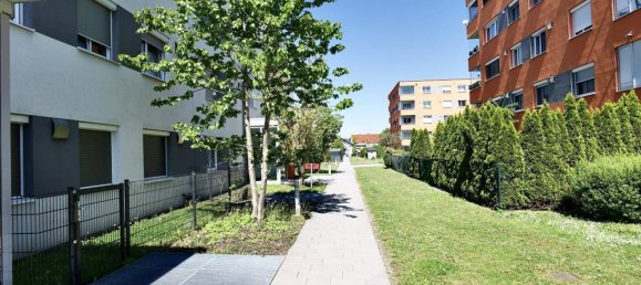 4-Zimmer Wohnung in Wels, Austria, Nr. 196946 4