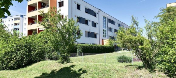 4-Zimmer Wohnung in Wels, Austria, Nr. 196946 10