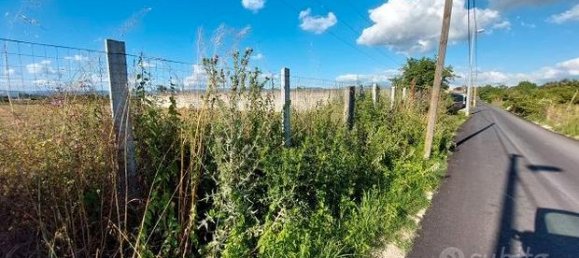 3200m² Land in Pomigliano d'Arco, Italy No. 276857 6