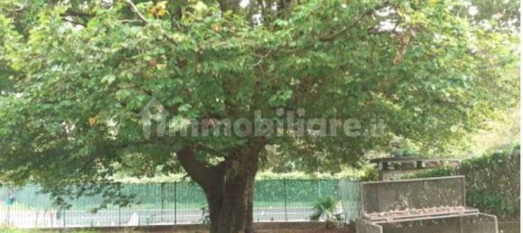 2 chambres Appartement à Castello Cabiaglio, Italy No. 5432 10