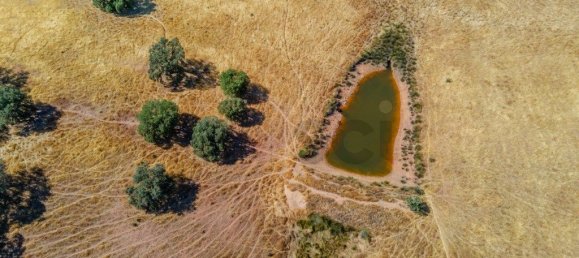 Castelos T3 em Serpa, Portugal N.º 332500 24