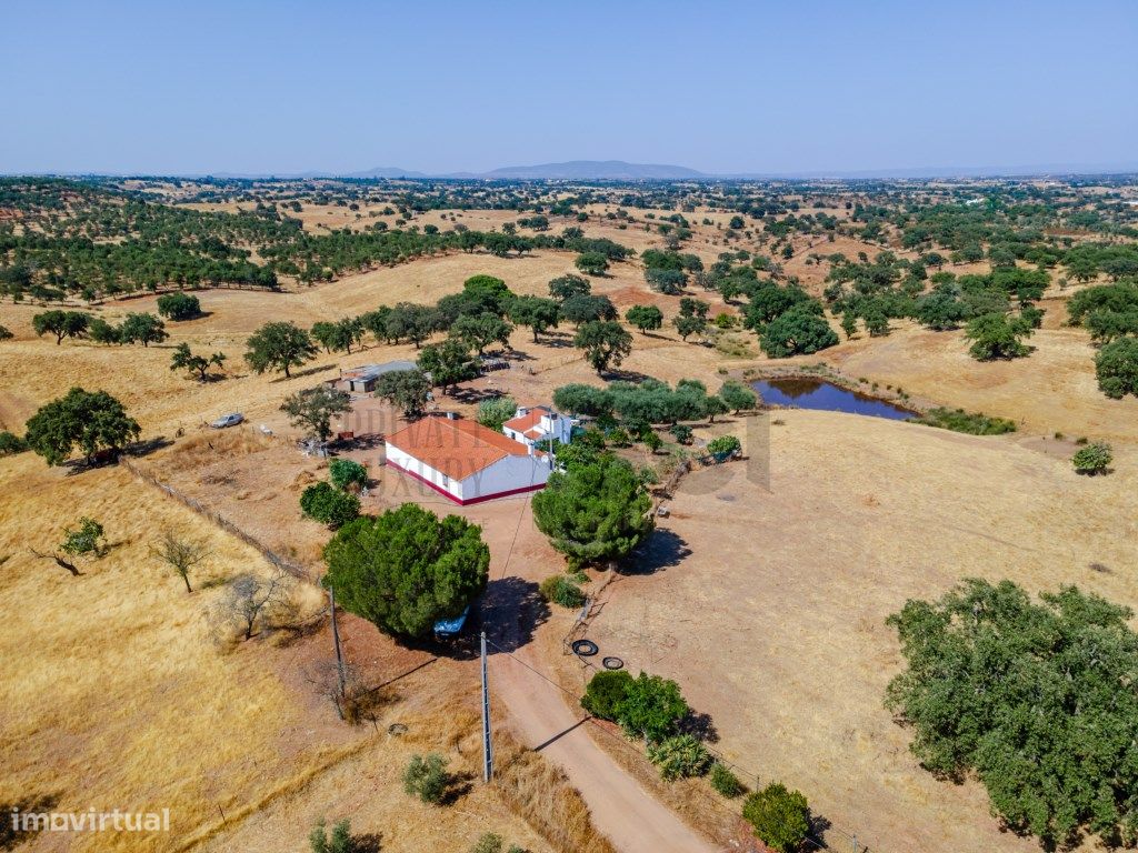 3 bedrooms Castles in Serpa, Portugal No. 332500