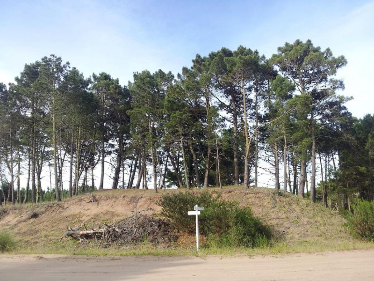 Grundstück in Mar del Plata, Argentina, Nr. 117218