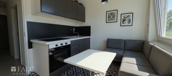 Estudio en Nuremberg, Germany No. 241397 4