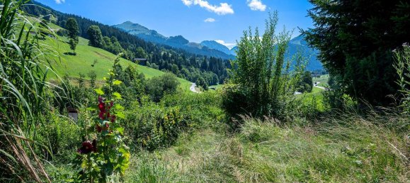  Land in Kirchberg in Tirol, Austria No. 167321 3