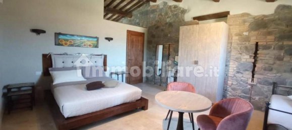 5 غرف نوم منزل في Radicofani, Italy رقم 54066 22