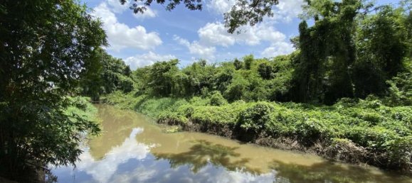 5 bedrooms Cafe / restaurant in Chiang Mai, Thailand No. 21950 29