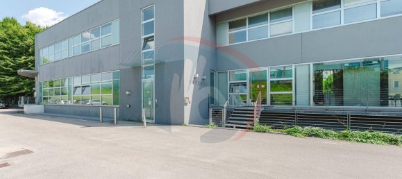 2000m² Building in Noventa Padovana, Italy No. 299670 5