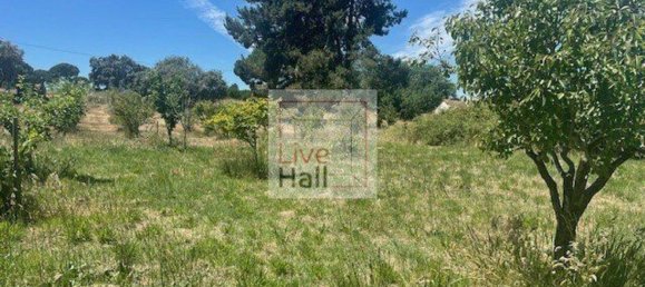 Grundstück in Coruche, Portugal 4750m², Nr. 66415 8