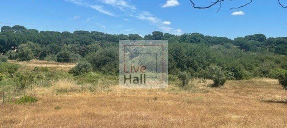 Grundstück in Coruche, Portugal 4750m², Nr. 66415 3