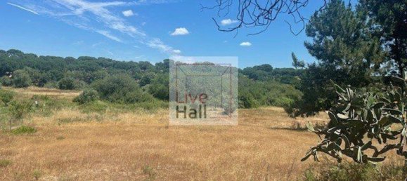 Grundstück in Coruche, Portugal 4750m², Nr. 66415 20