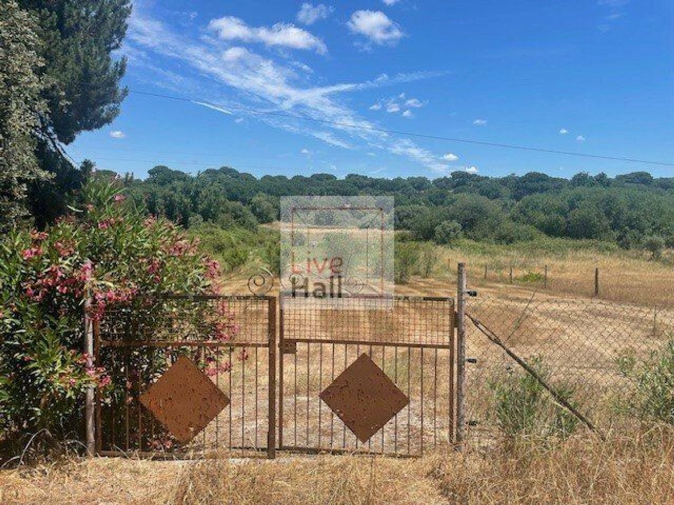 Grundstück in Coruche, Portugal 4750m², Nr. 66415