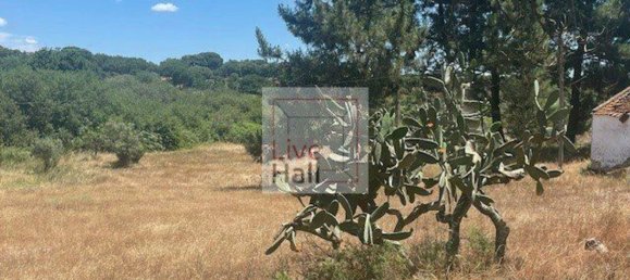 Grundstück in Coruche, Portugal 4750m², Nr. 66415 21